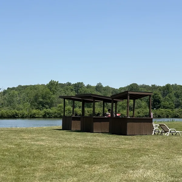 Outdoor bar near lake with people, surrounded by grass and trees under clear blue sky.